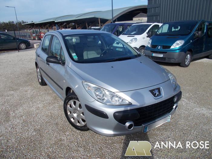 Peugeot 307 1 6 Hdi 90 Ch Anna Rose Automobiles